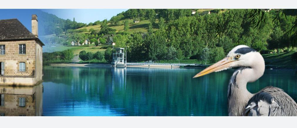 En Toute Quietude Lissac-sur-Couze Dış mekan fotoğraf